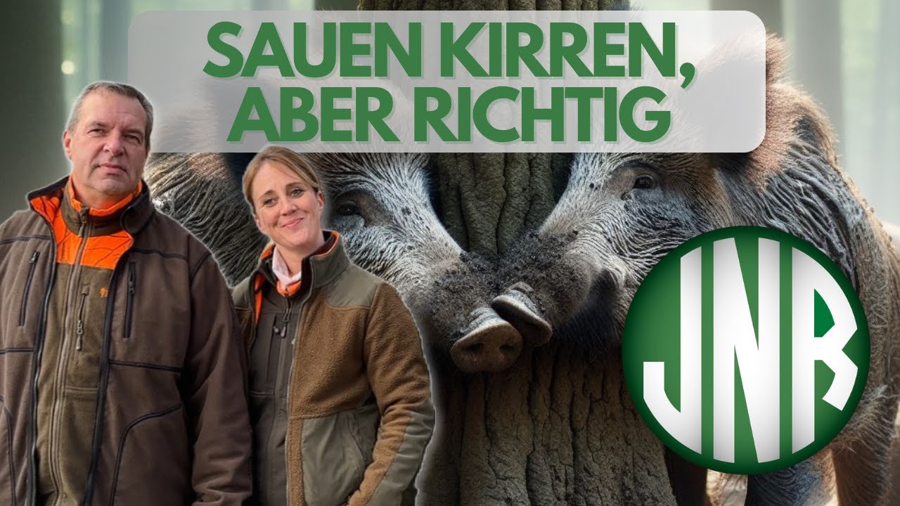 Durch die richtige Kirrung, zum Jagderfolg!