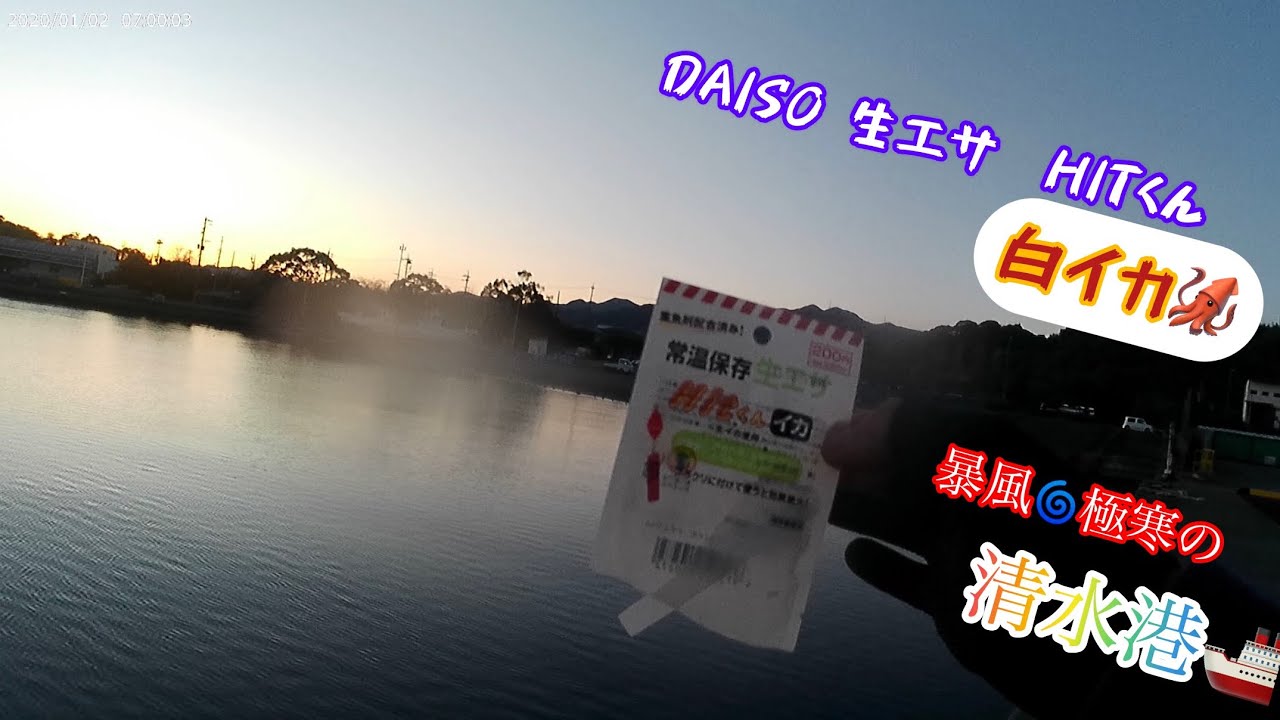【DAISO】最強寒波‼️暴風の堤防で強烈なアタリが‼️💦生エサHITくん！白イカを使って清水港ライトゲーム🎣