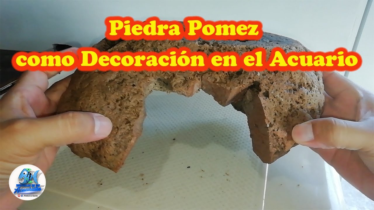 Piedra Pomez como Decoración en el Acuario