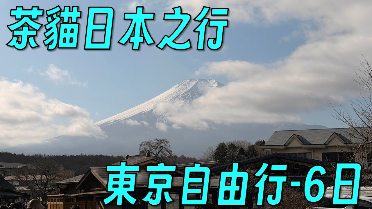 🎒【旅行回顧】日本自由行東京六日｜拖到現在才開嘴砲閒聊台！