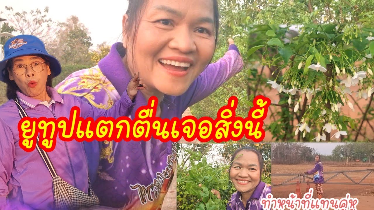 ยูทูปแตกตื่นเจอสิ่งนี้ที่ลานปู่?ออกจริงสวยมาก?ทำหน้าที่คู่หูไม่อยู่...