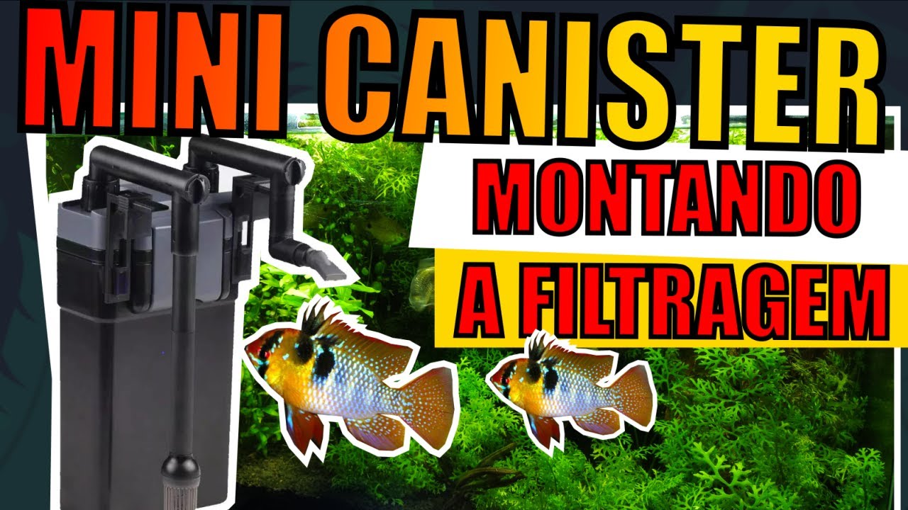 🔴COMO MONTAR FILTRAGEM NO MINI CANISTER PRA AQUÁRIOS.  |Mr. Betta|
