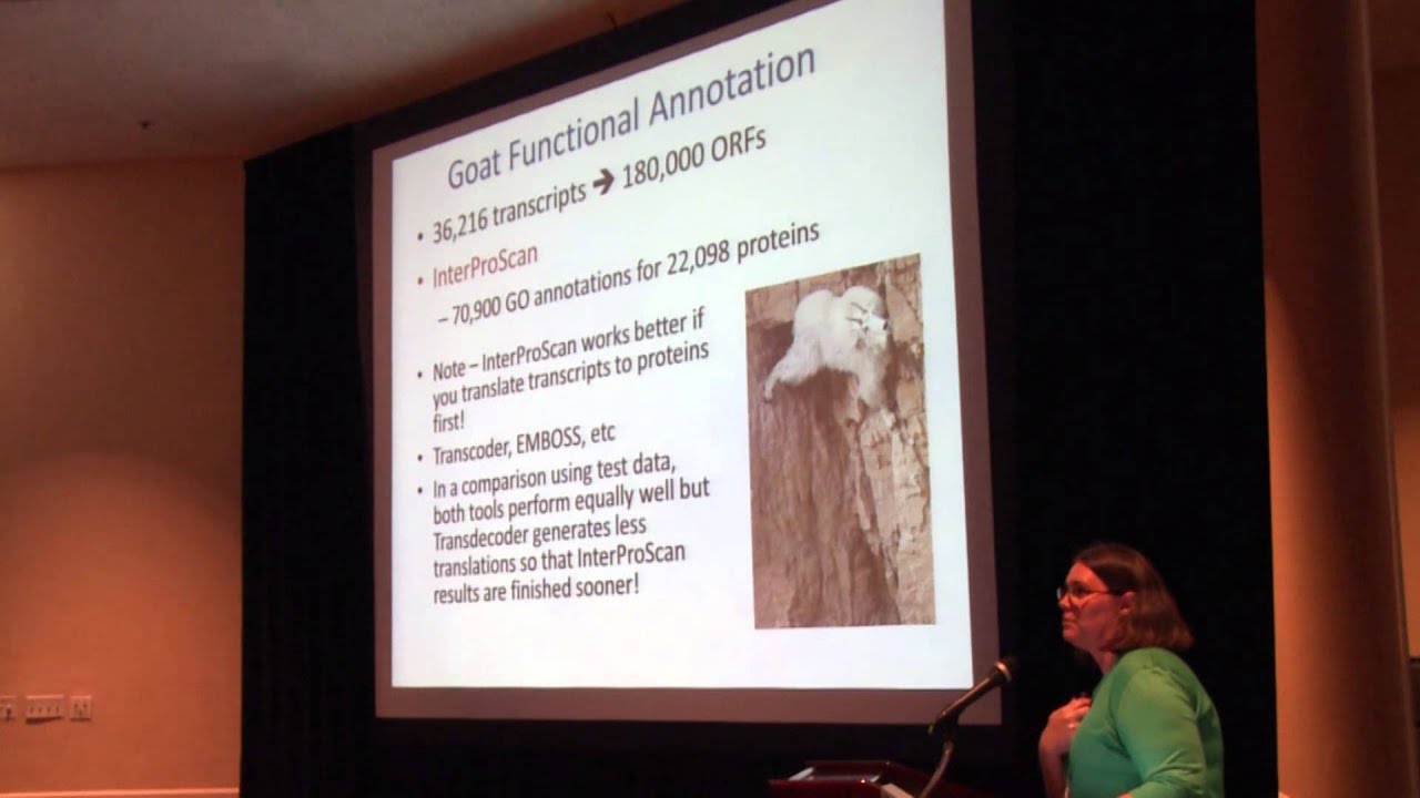 Full Talk: Functional Analysis of Your RNAseq Data (McCarthy, Univ. of AZ)