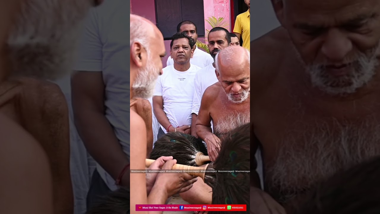 करते तुमको नमन 🙏🏻🙏🏻 #acharyshri #vidyasagarji #samaysagarji #veersagarji #muniveersagarji #shorts