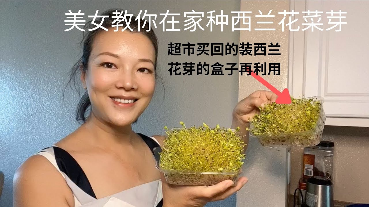 202109141425美女教你自己发西兰花菜芽　＃NMN　＃天然补充NMN的方法