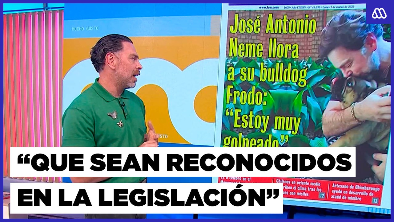 Neme alza la voz por los animales tras perder a su mascota 
