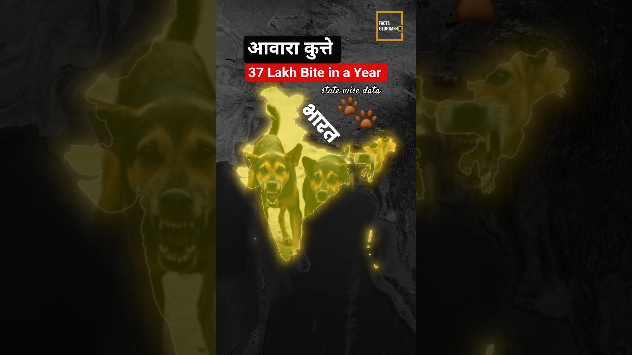 Supreme Court Action on Stray Dogs in Delhi-NCR | Top Rabies Case in Indian State