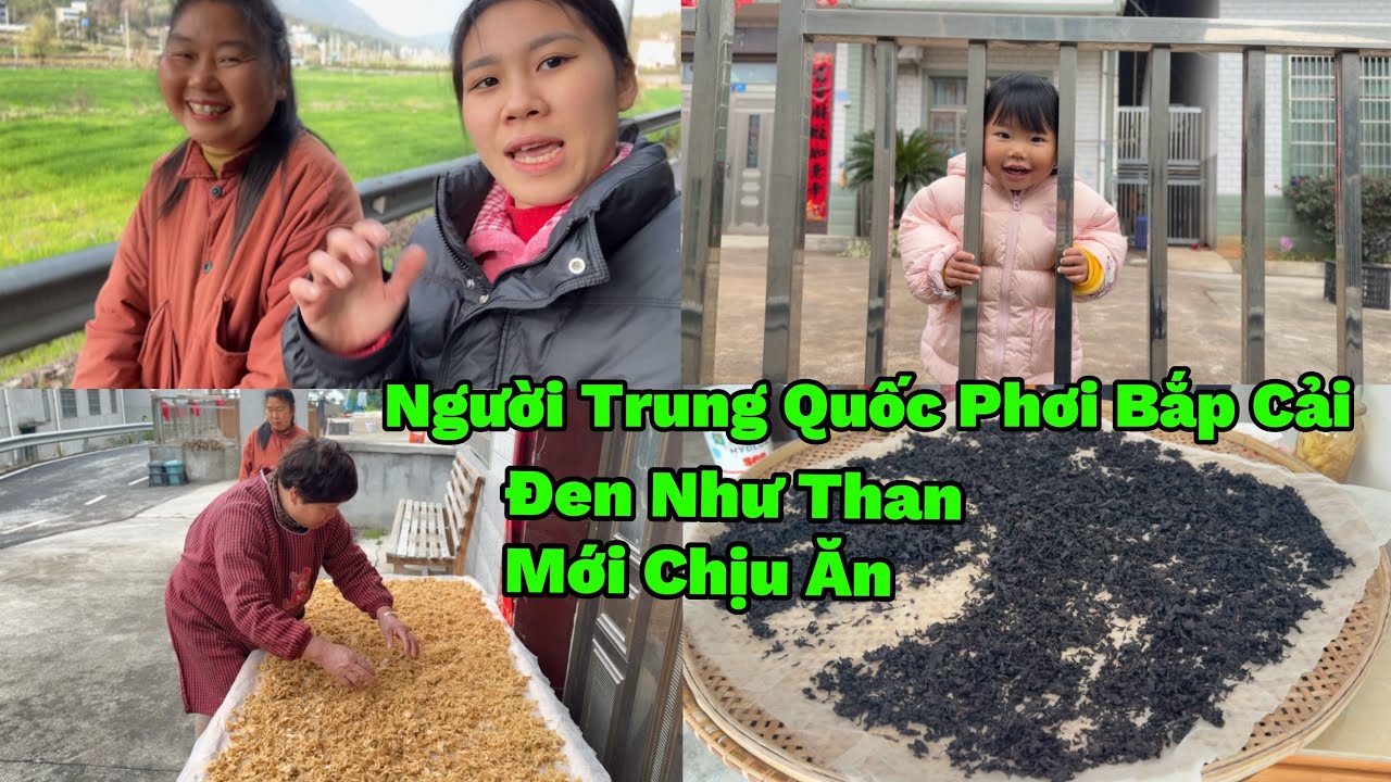 283🇨🇳🇻🇳Người Trung Quốc Phơi Bắp Cải Đến Nổi Đen Như Than Vẫn Ăn Được, Dâu Việt Lấy Chồng Trung Quốc