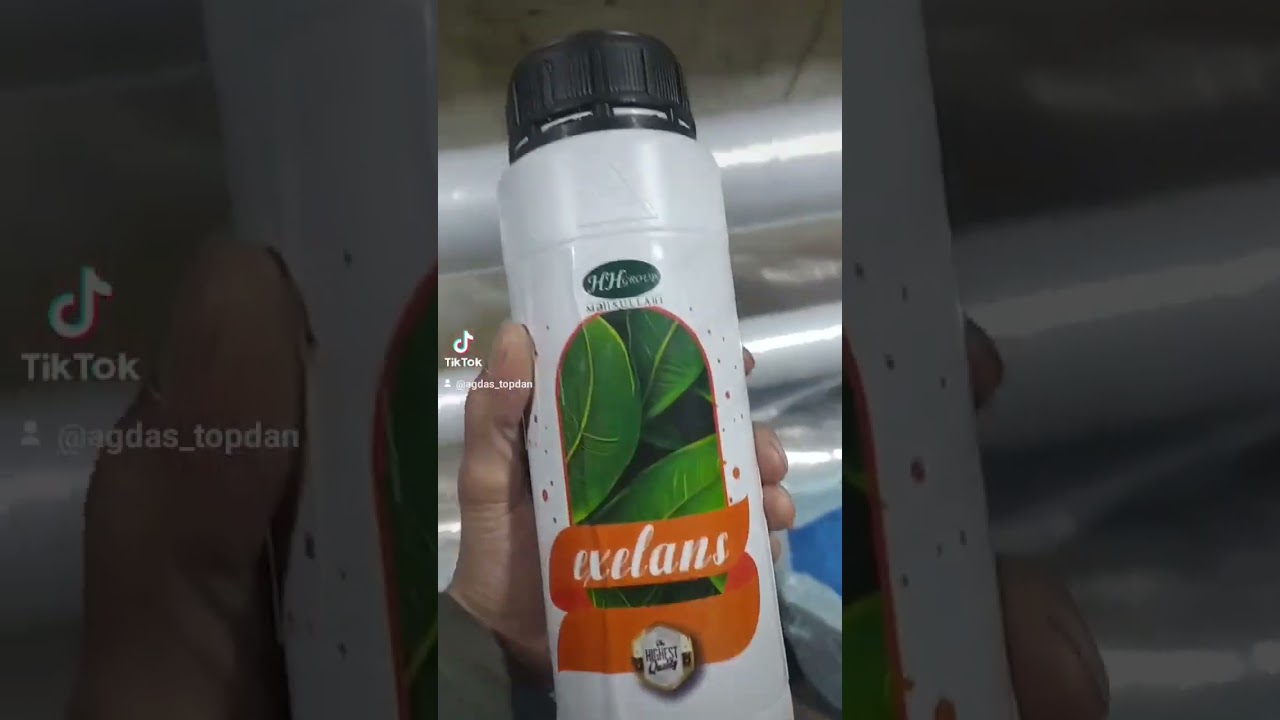 exelans maye g&uuml;brə