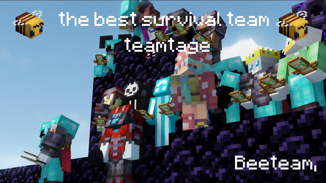 Beeteam Montage (MineTop)