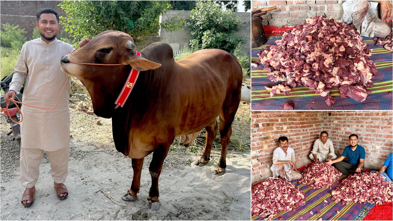 My Eid Day Routine 😰 | Gosht Kitna Nikala ?