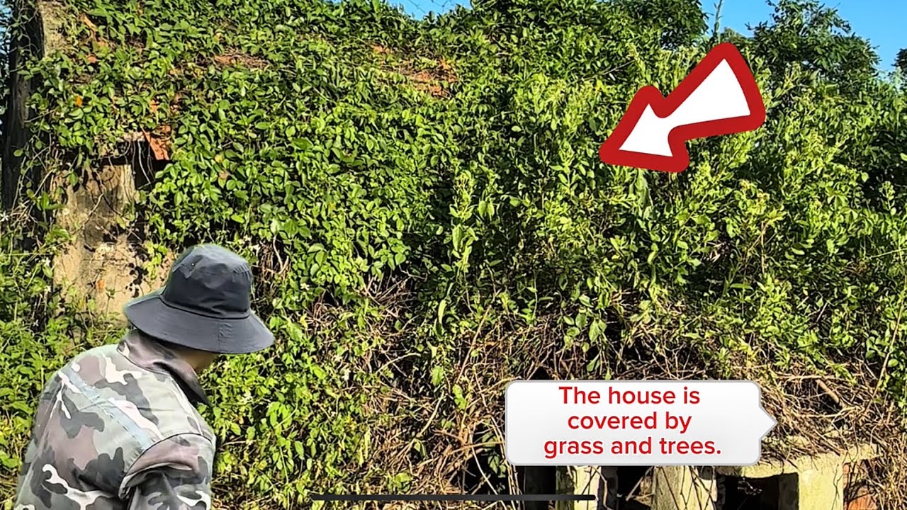 Dọn dẹp k&yacute; ức xưa: Biến đổi ng&ocirc;i nh&agrave; hoang của b&aacute;c bảo vệ trường học.