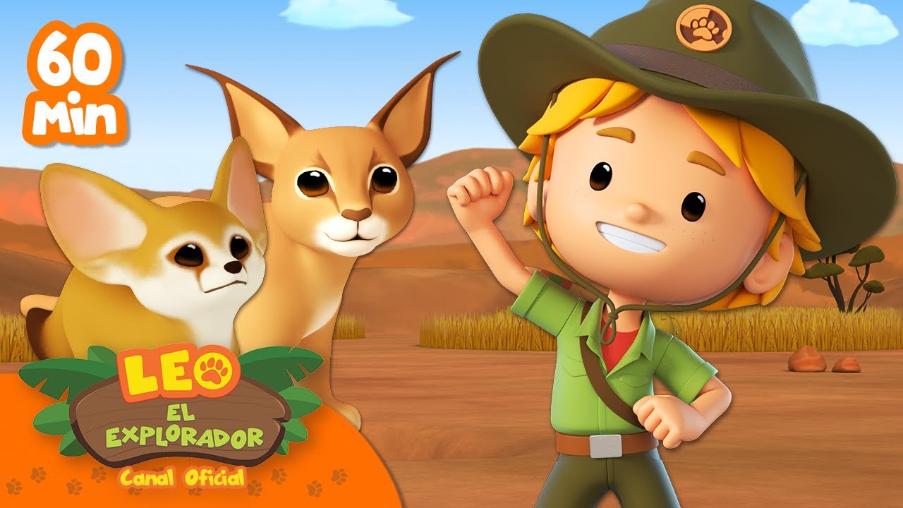 1 HORA DE GATOS LINDOS Y DIVERTIDOS!! 😺🐈‍⬛ | Leo, El Explorador | Animación | #compilación