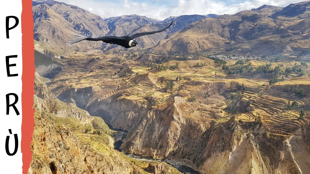 Valle del Colca e Cruz del Condor - Viaggio in Perù e Bolivia