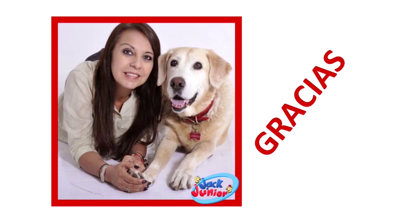 JACK Y JUNIOR 546 JUL 28  2019