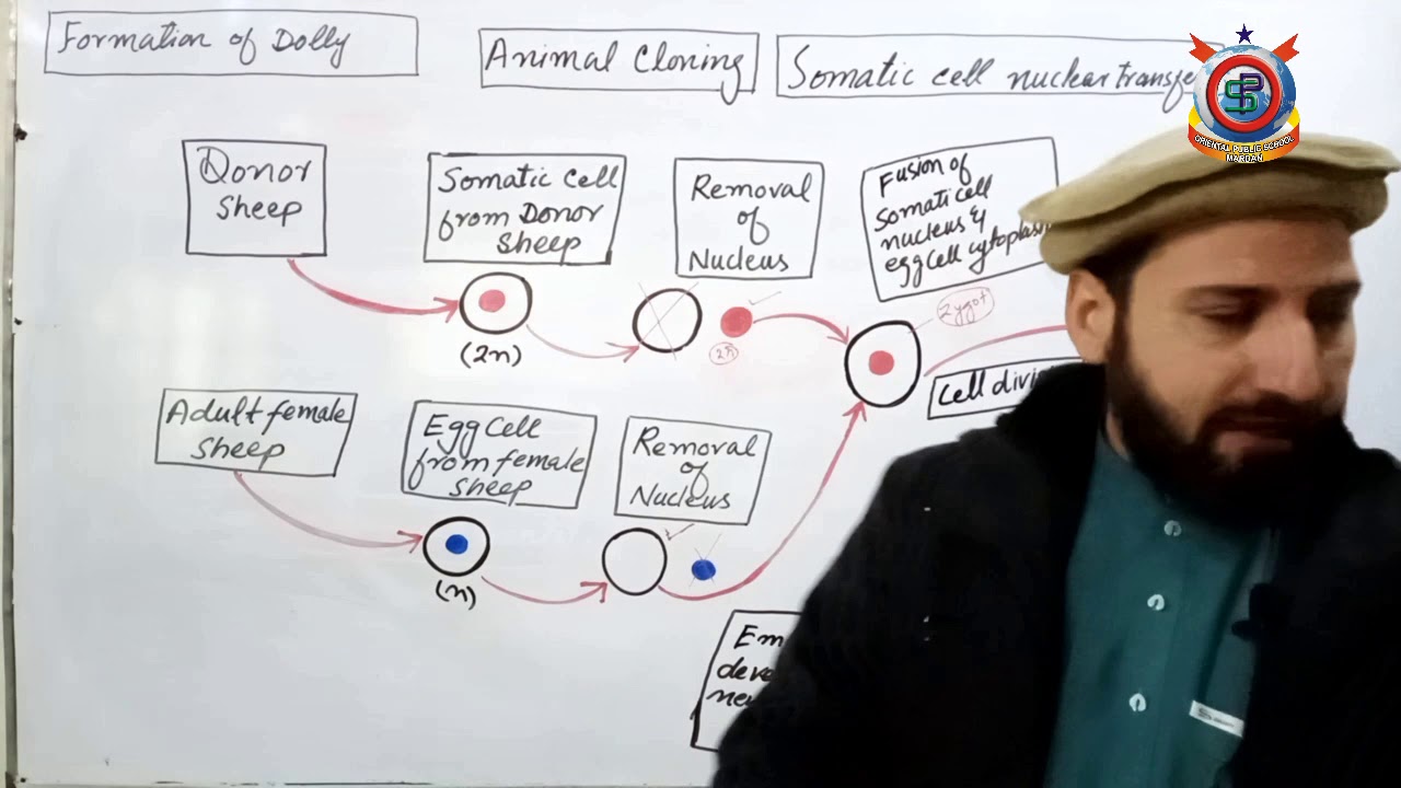 Biology Animal Cloning   Class 10th Bio Lecture 54 Class 10th