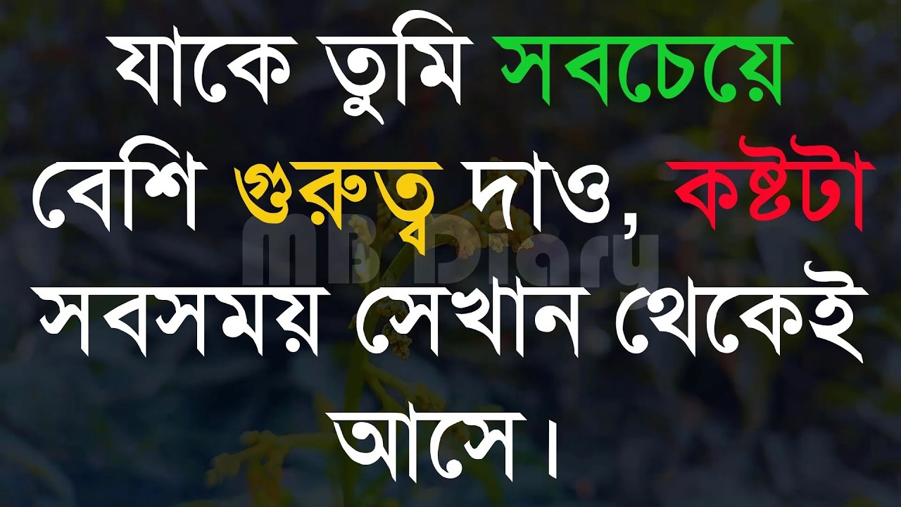 যাকে তুমি সবচেয়ে বেশি গুরুত্ব দাও ।-Life Changing Motivationa l Monishider Bani Kotha MB Diary