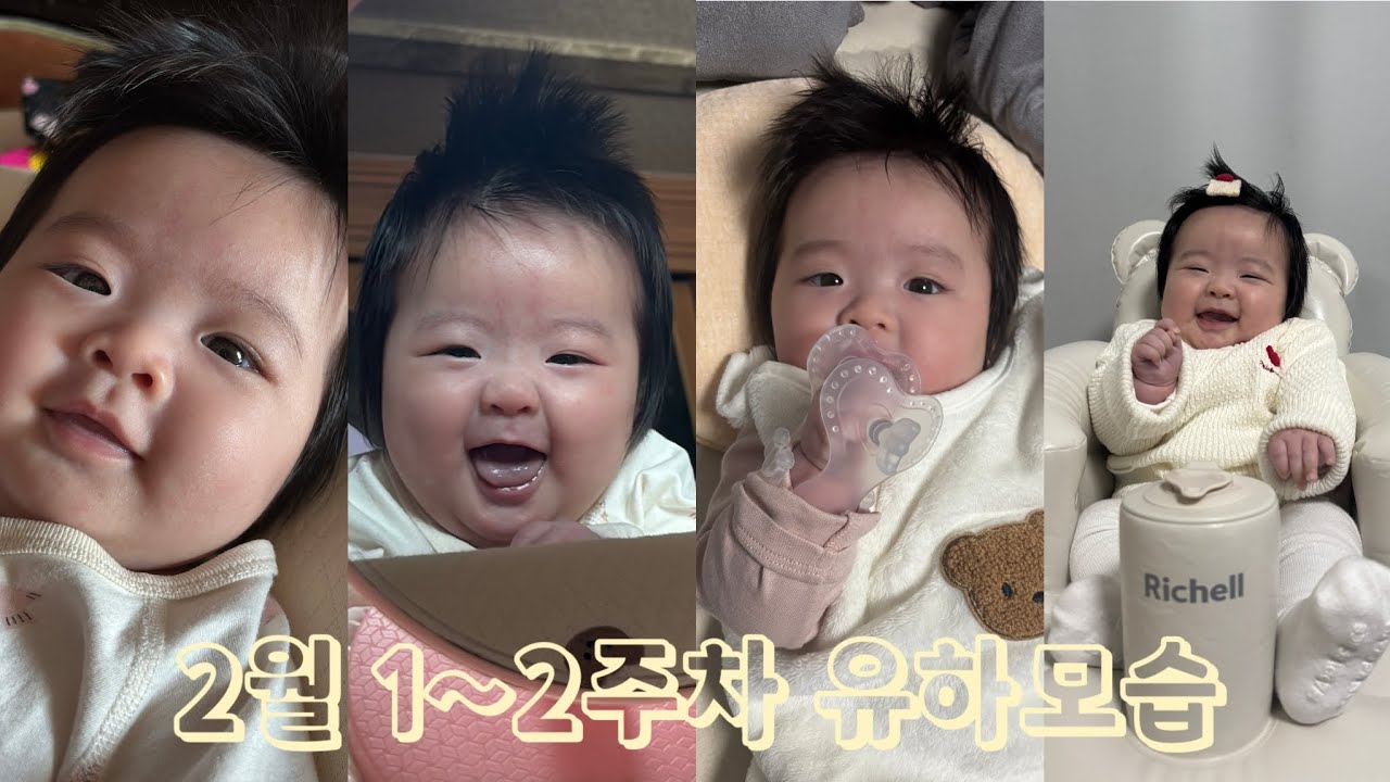 EP 37 I 2월 1~2주 유하 모습 I 부산&당진 I 20260215