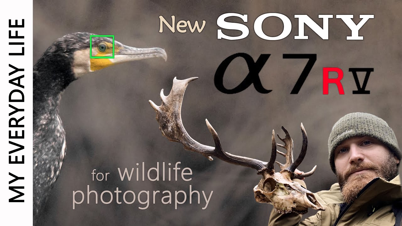 Я получил новую SONY a7RV и нашел череп оленя | Фотография птиц | Фотография дикой природы