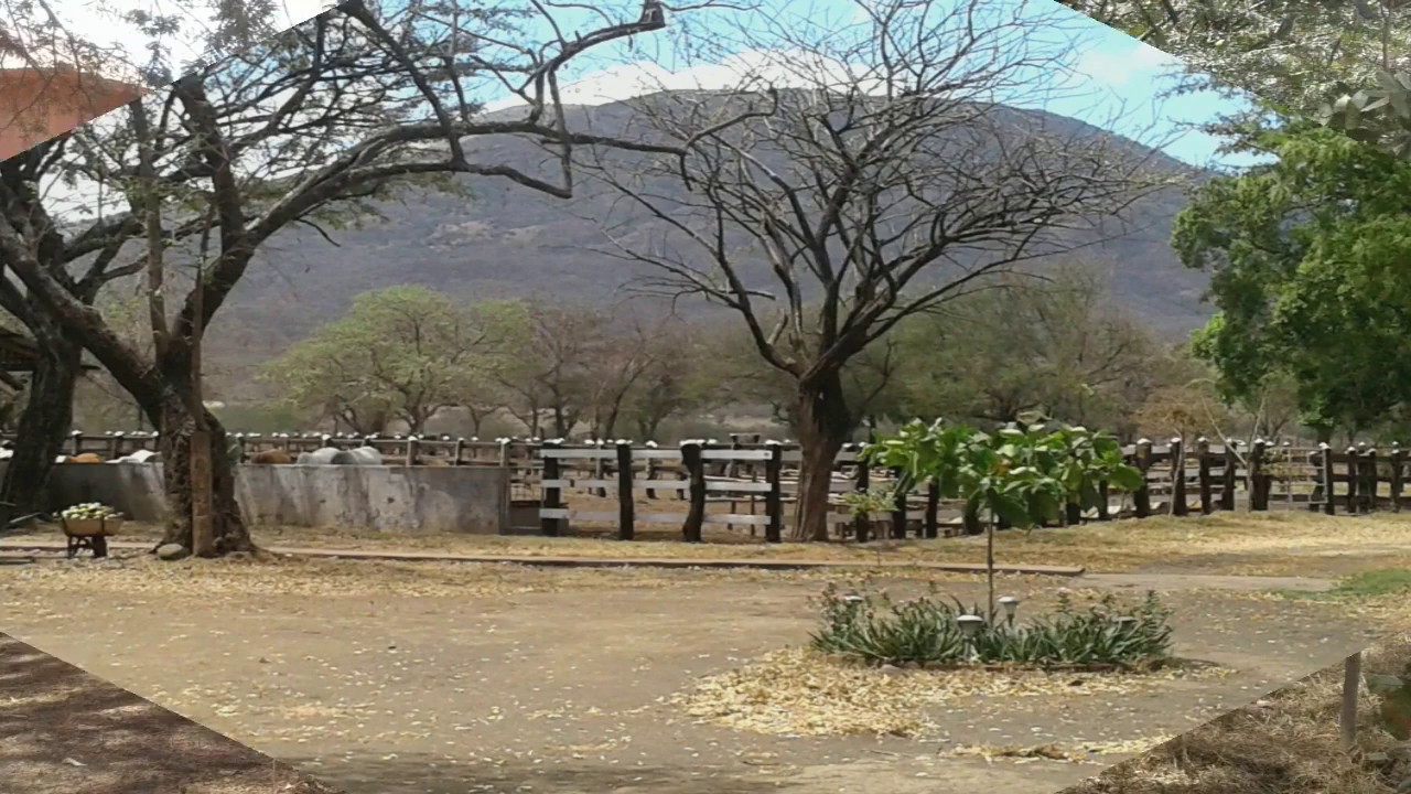Venta de FINCAS en Nicaragua. #Finca de 1,780 mz. EN ORILLAS DE CARRETERA.  $ 1000 dolar x mz.