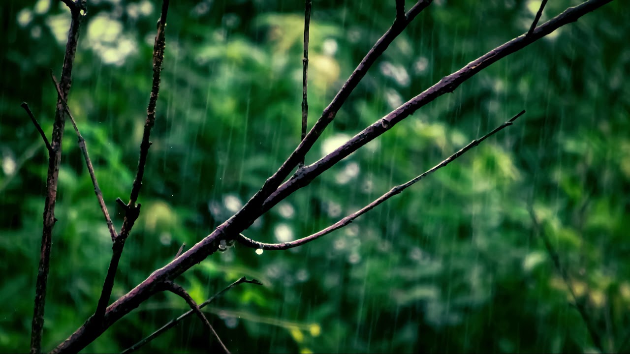 白噪音【下雨聲】【水滴聲】4小時高音質 ♪ MaHaMusic ♪