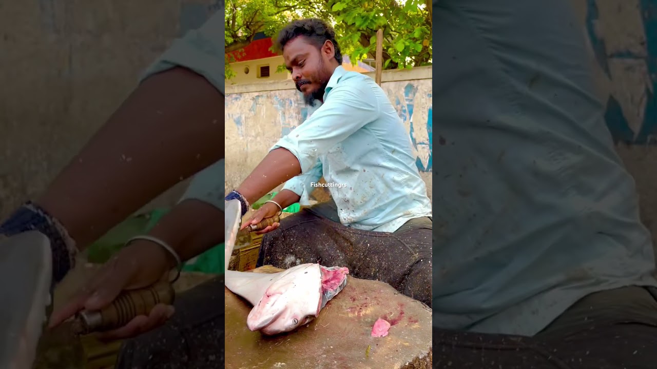 Thirukkai meen cutting video/fishcuttingrs#fish #kasimedu #fishcuttingrs