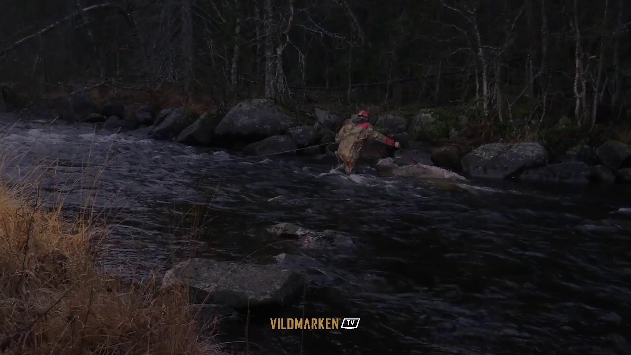 Vildmarken TV
