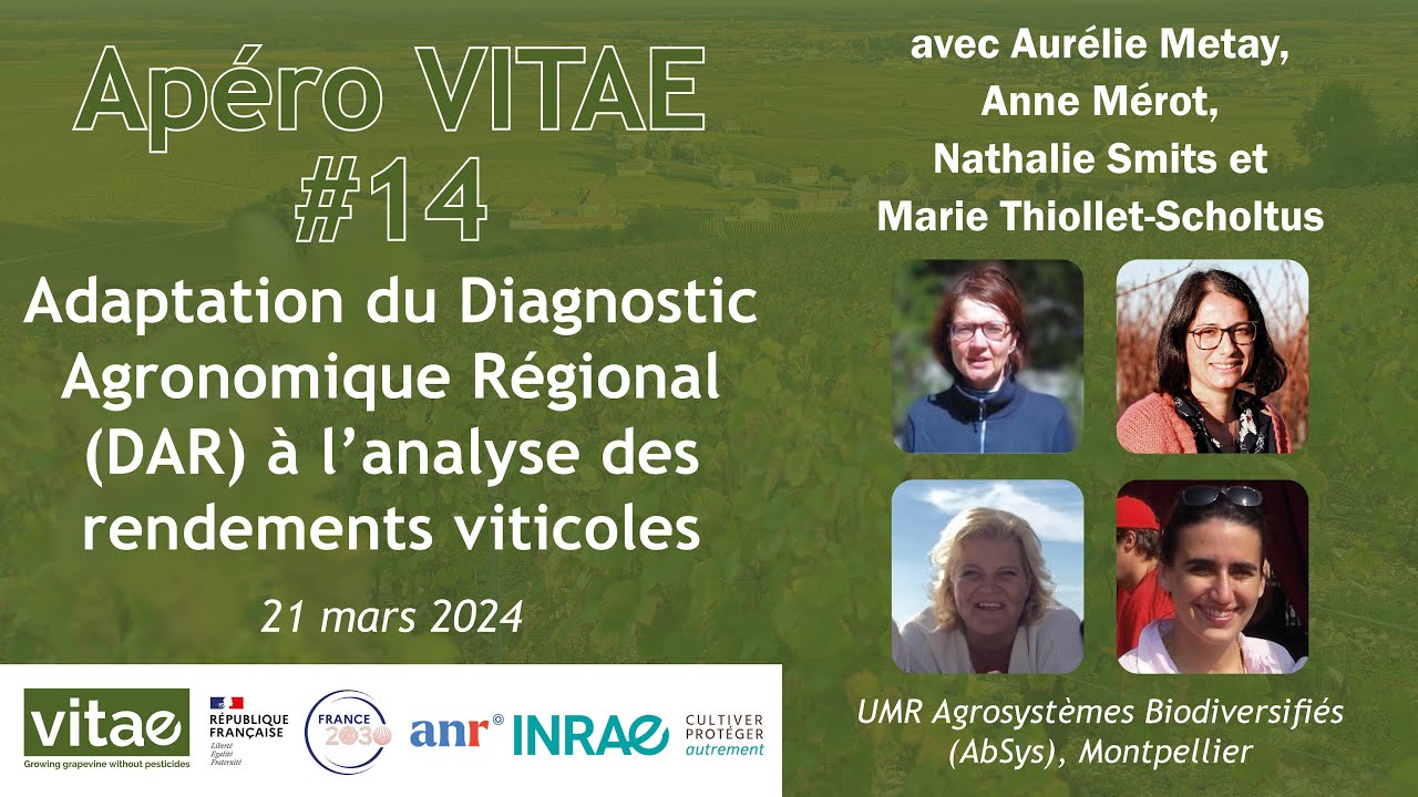 Apéro VITAE n°14 - Adaptation du Diagnostic Agronomique Régional à l’analyse de rendements viticoles
