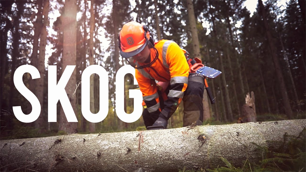 Blekinge Naturbruksgymnasium - Inriktning skog