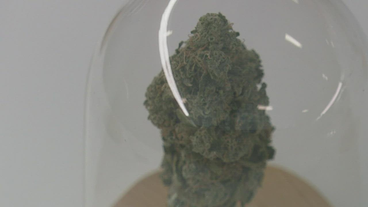 New cannabis dispensary opens in Portland with a unique mission