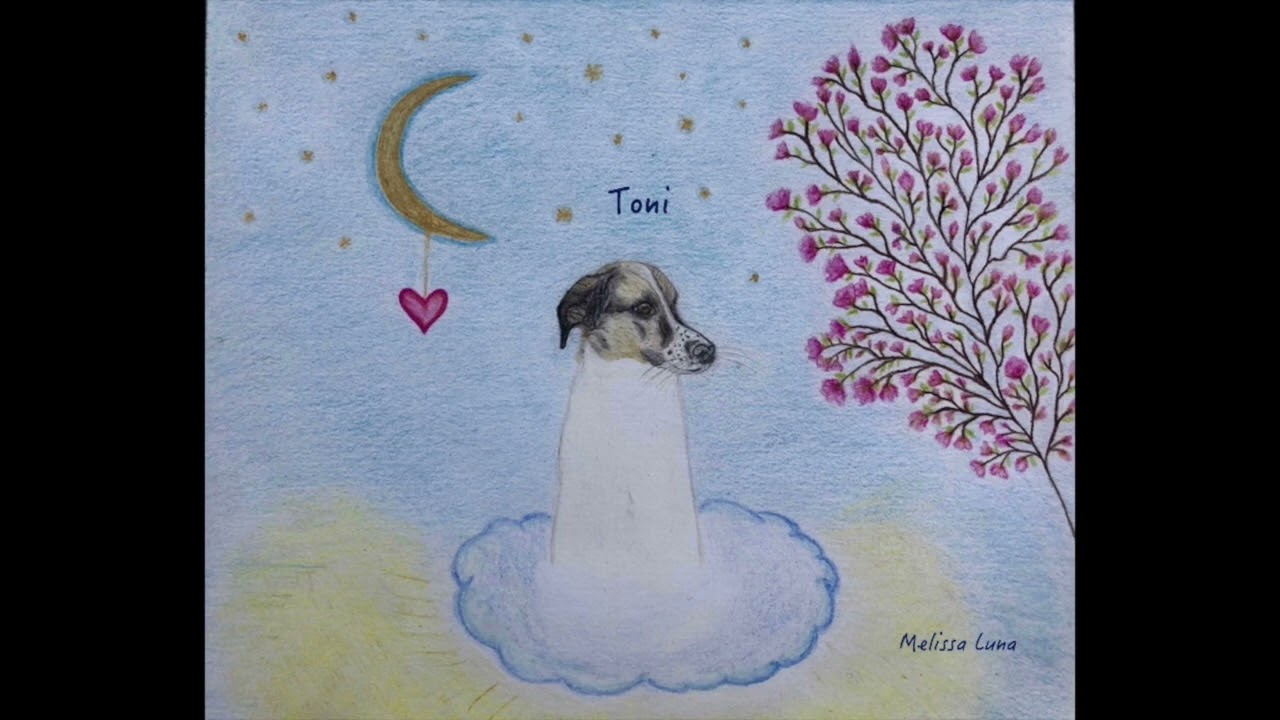 Toni - Melissa Luna (original composition)