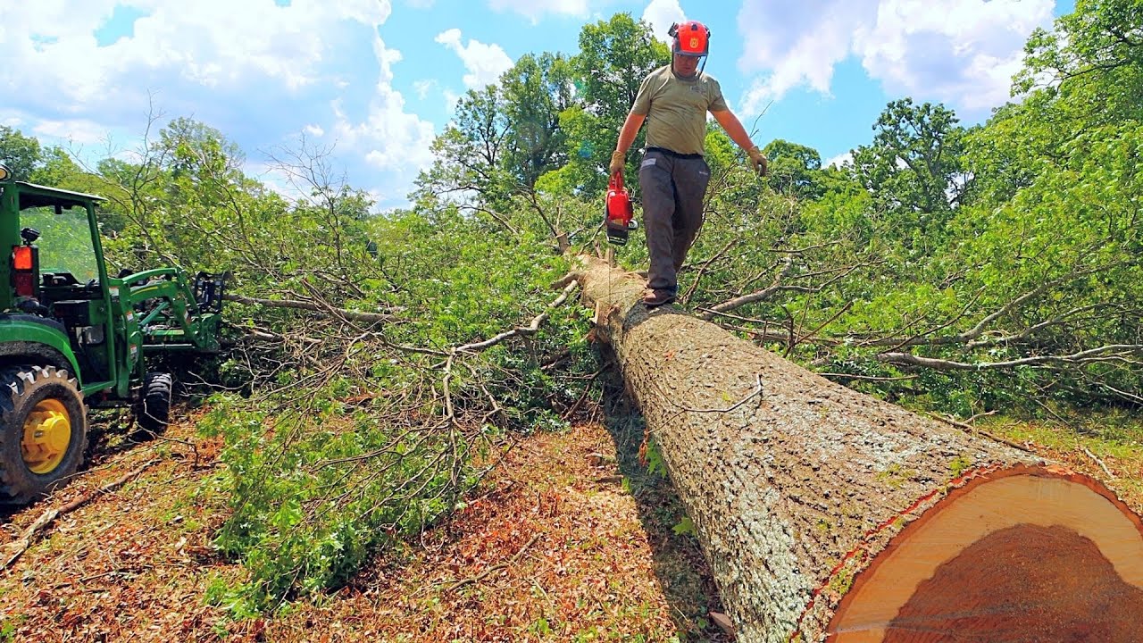 4000 Pound Oak Log on the Woodland Mills HM130