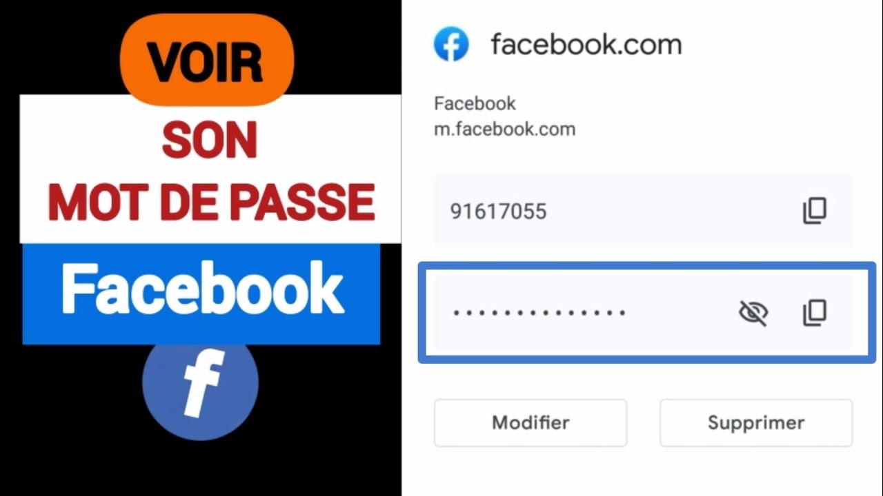 Comment voir Mon Mot de Passe Facebook en étant Connecté | Mot de Passe Facebook Oublié