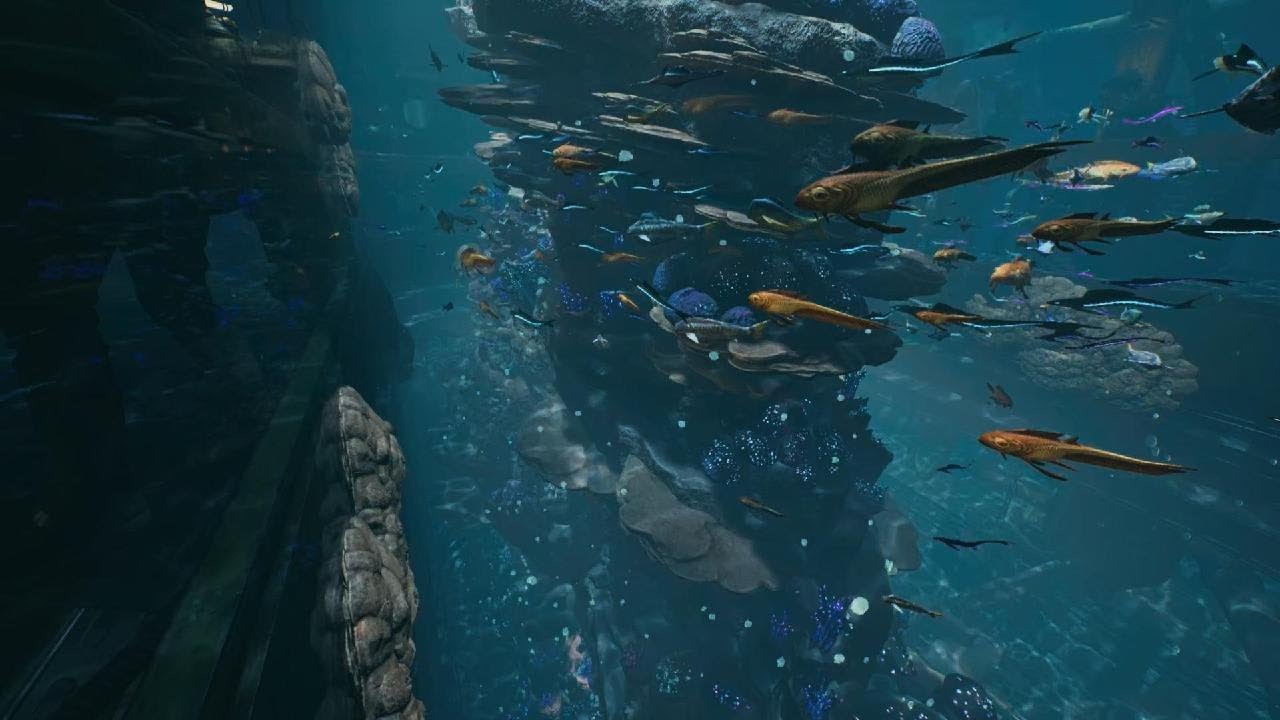Star wars fishies