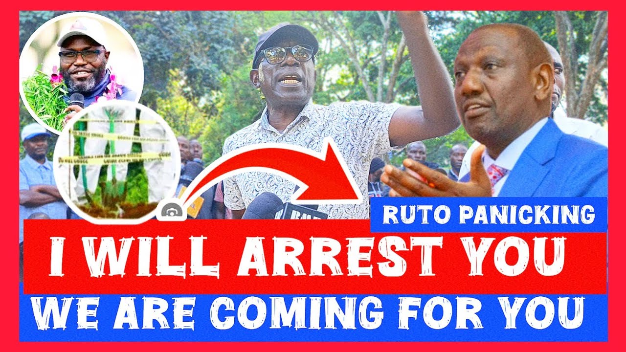 Ruto Lands in Trouble After MP Kiberenge&rsquo;s Tough Statement!