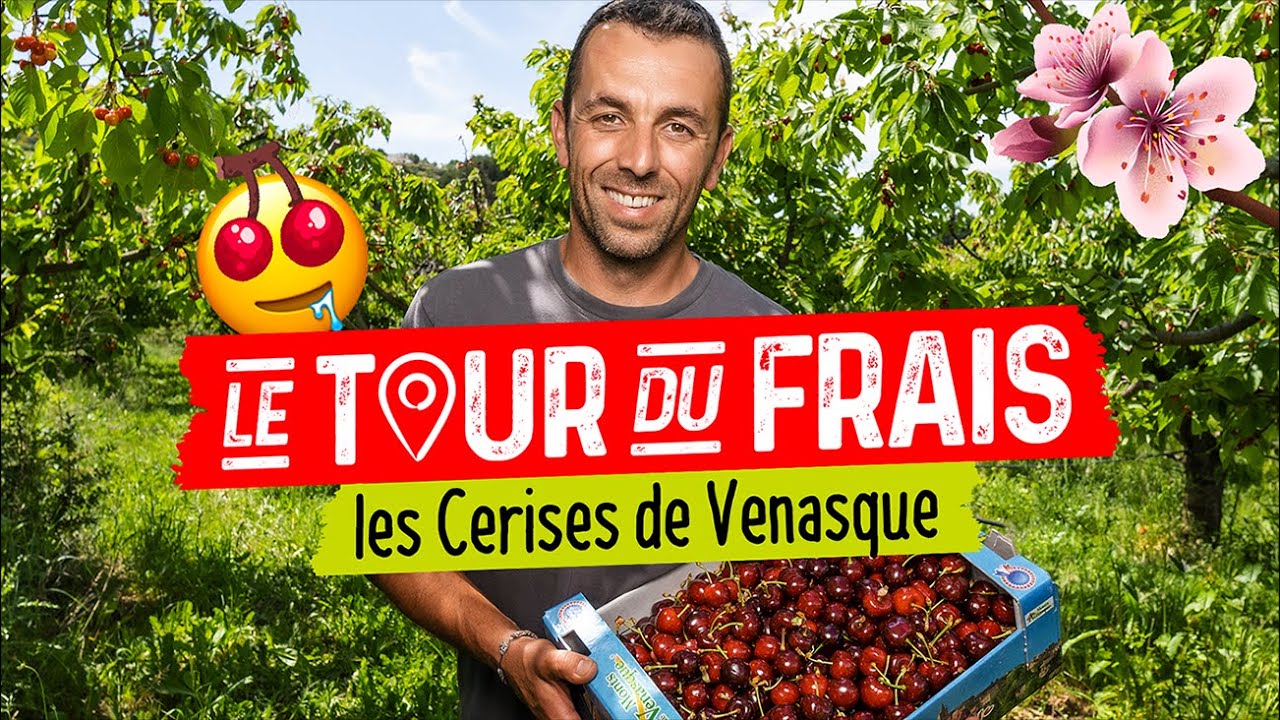 Grand Frais I Le tour du Frais avec Nicolas I Les cerises de Venasque