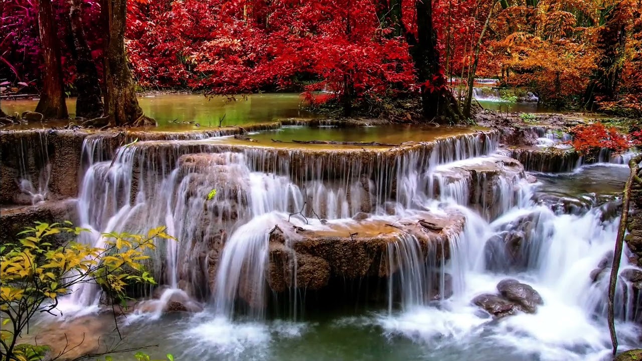 André Rieu ft. Gheorghe Zamfir - The Lonely Shepherd Relaxing Music • Peaceful Piano Music