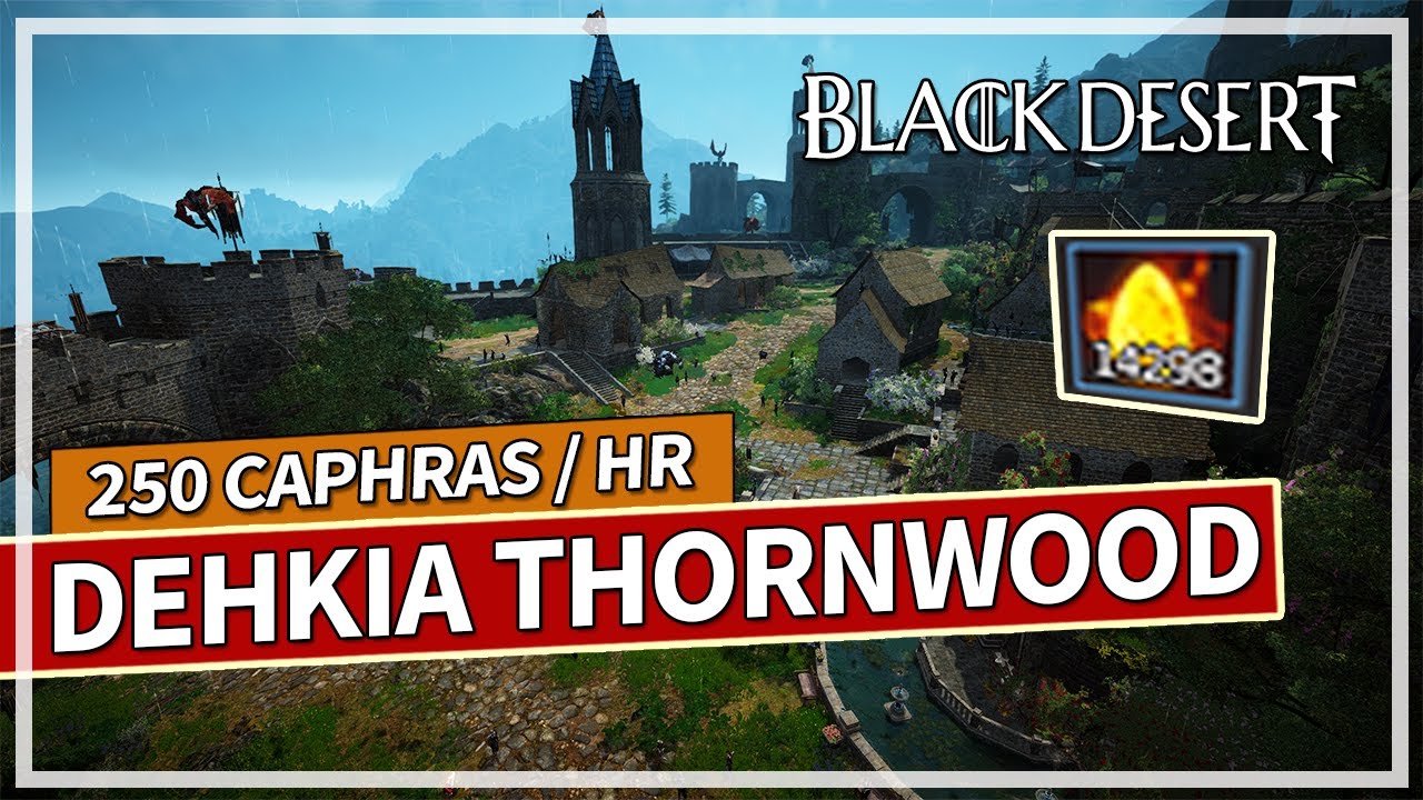 250+ Caphras Hour at Dehkia Thornwood Forest - Succession Dark Knight | Black Desert