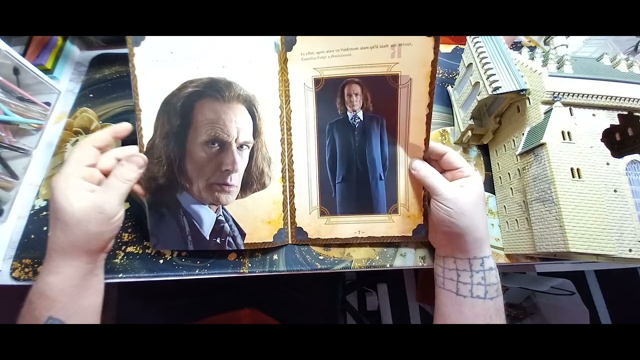 VIDEO CH&Acirc;TEAU D HARRY POTTER C EST LA FIN