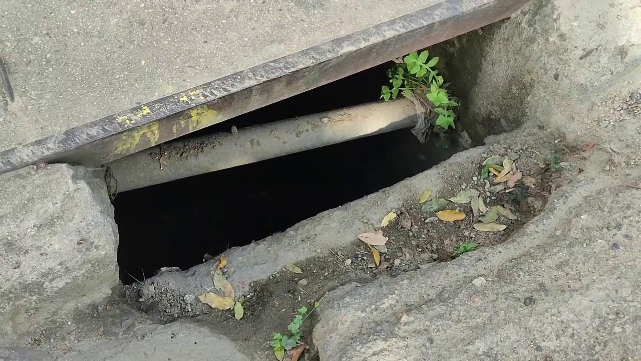 ENVIVO