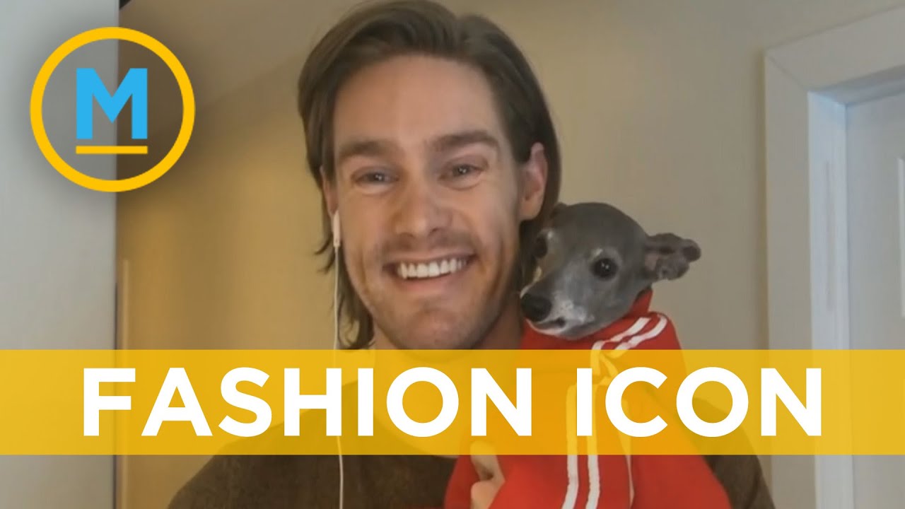 Meet Tika the Iggy, the fashionable greyhound taking social media by storm | Your Morning