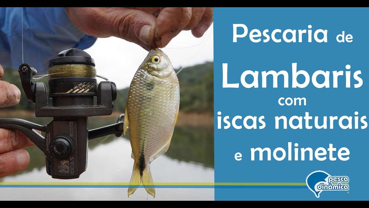 Pesca de lambaris com iscas naturais e molinetes na represa Capivari Cachoeira