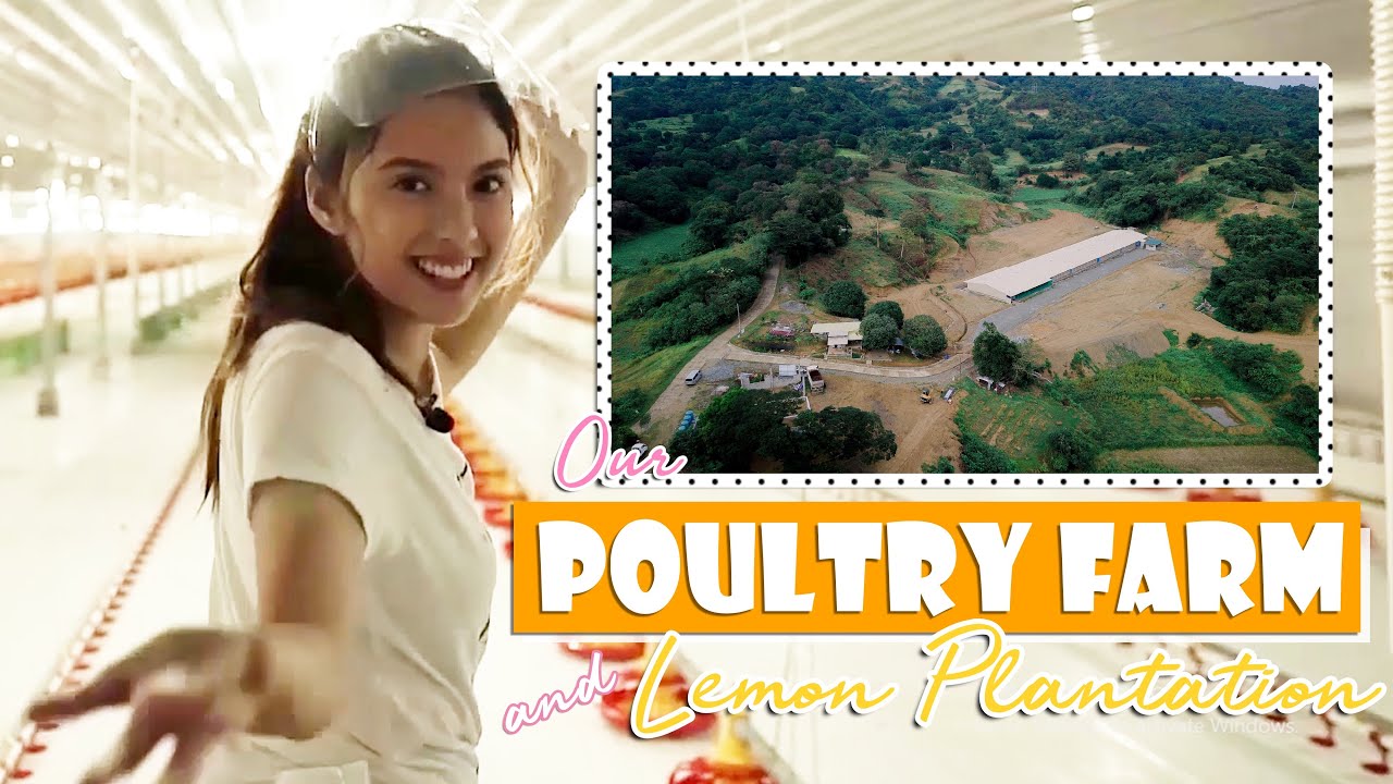 Welcome To Our Farm! (Poultry Farm + Lemon Plantation) | Ysabel Ortega