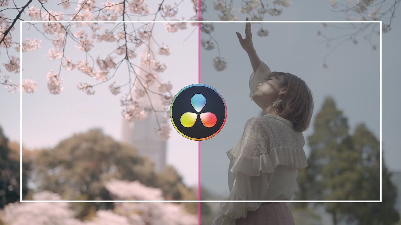 【カラグレ】SONY &alpha;7S3 S-log3 カラーグレーグレーディング / ビフォー・アフター【SONY &alpha;7SⅢ 4K Movie】#140