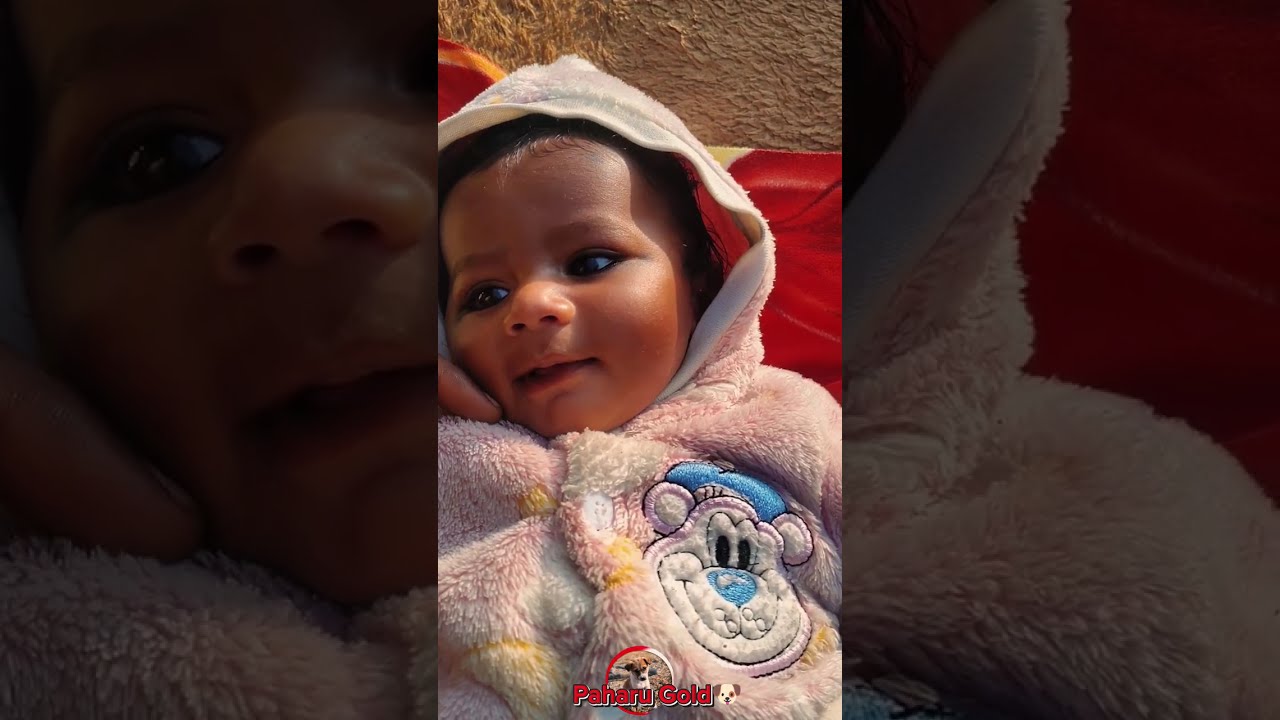 Amayra dav gai😥|| New funny video mix ||comedy video mix 2025 ||