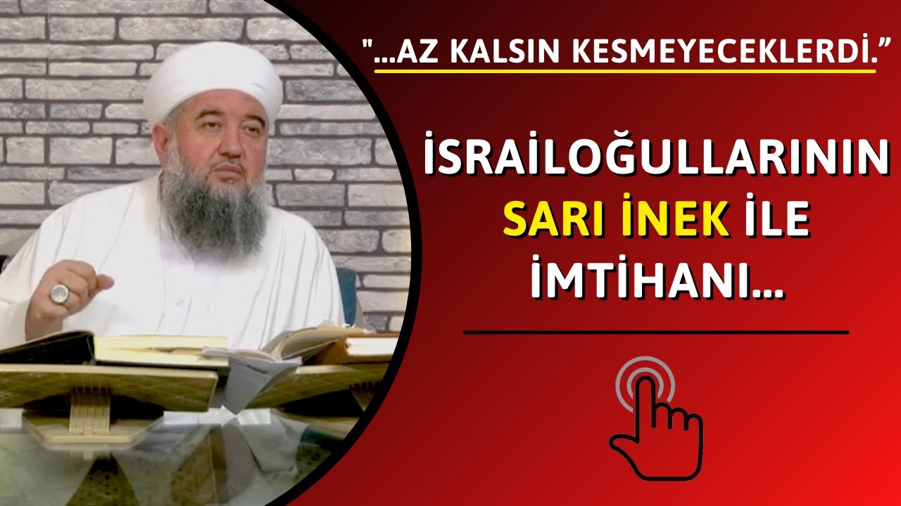 İsrailoğullarının sarı inek ile imtihanı...