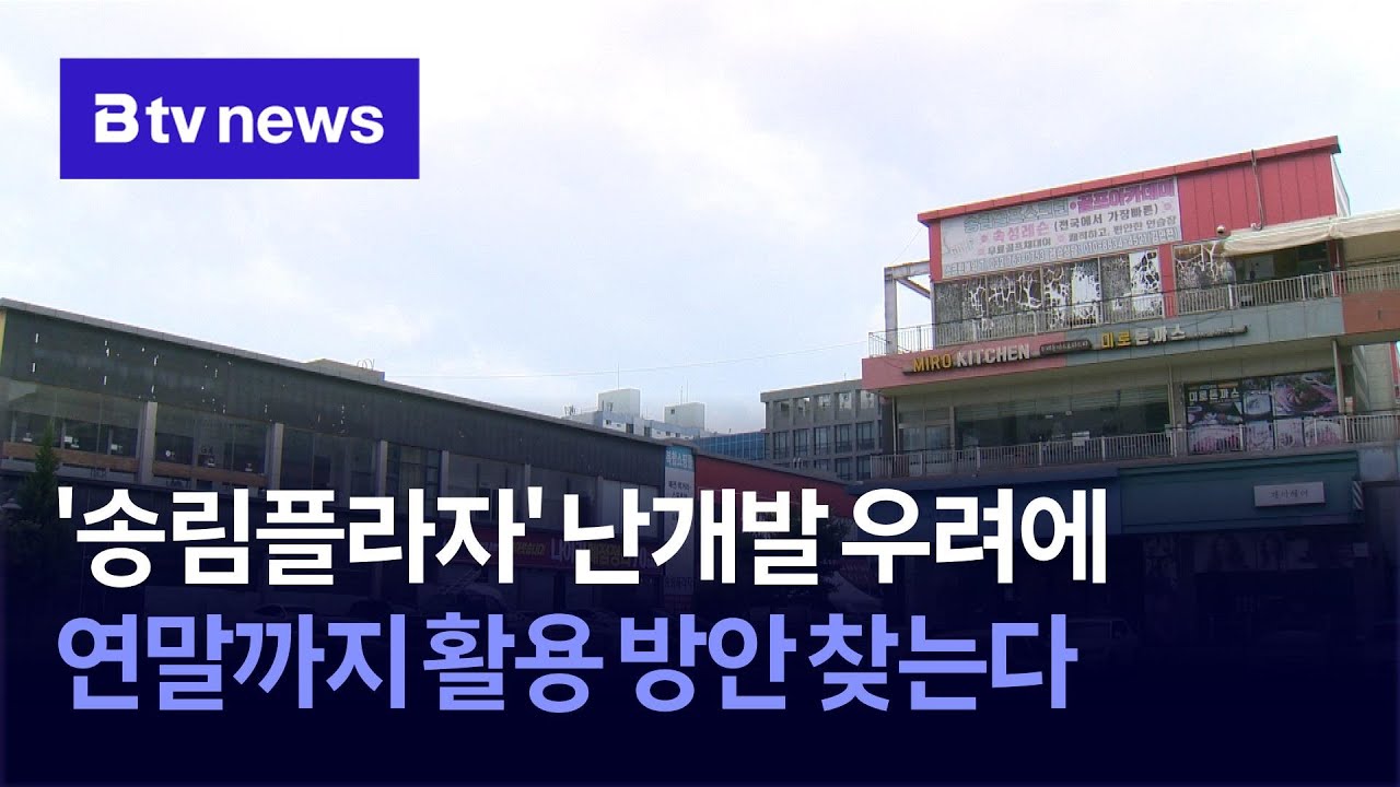 '송림플라자' 난개발 우려에&hellip; 연말까지 활용 방안 찾는다