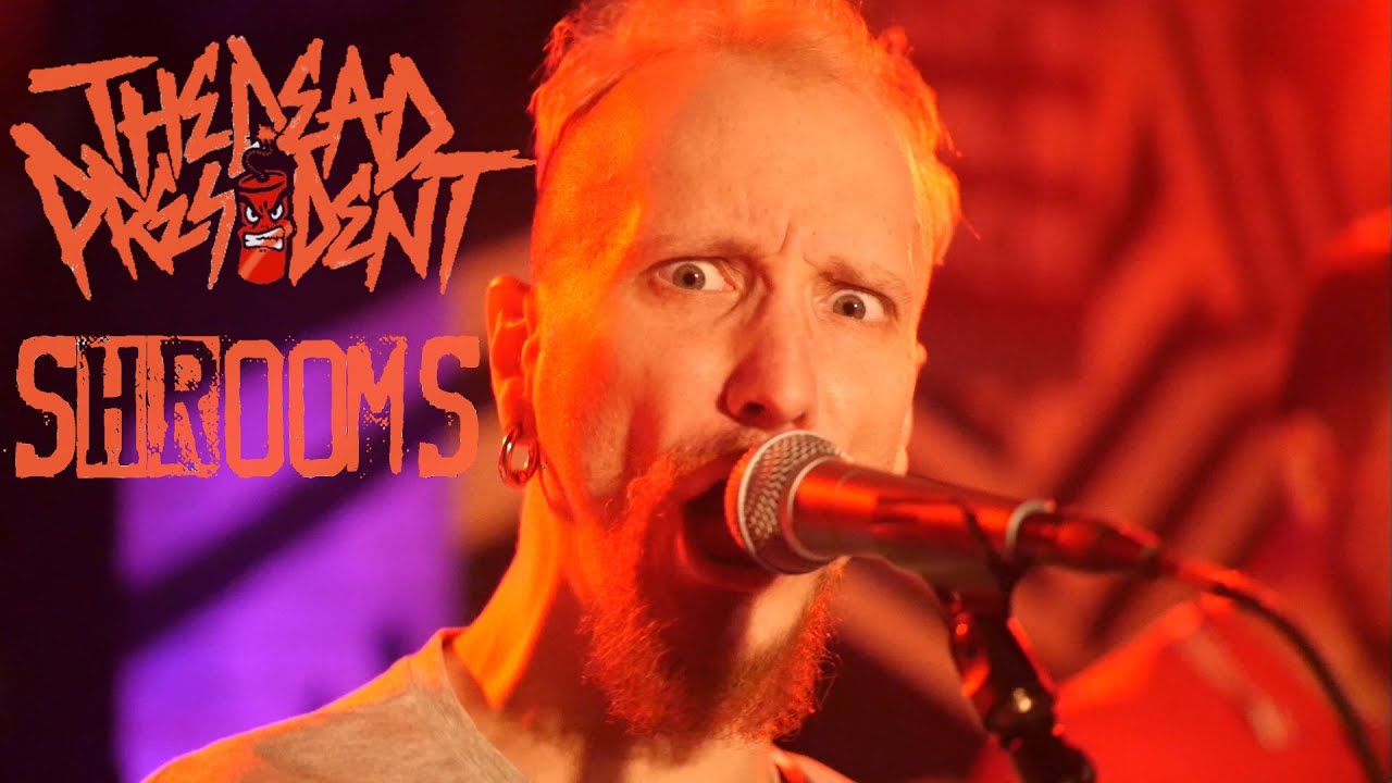 the Dead President (+Interview) the Shrooms live im Gängeviertel