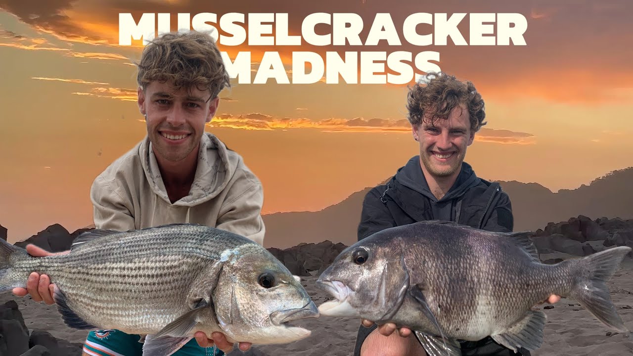 MUSSELCRACKER MADNESS (pt2): Aiden's first Silver and Mike's PB Poensie in knee deep water