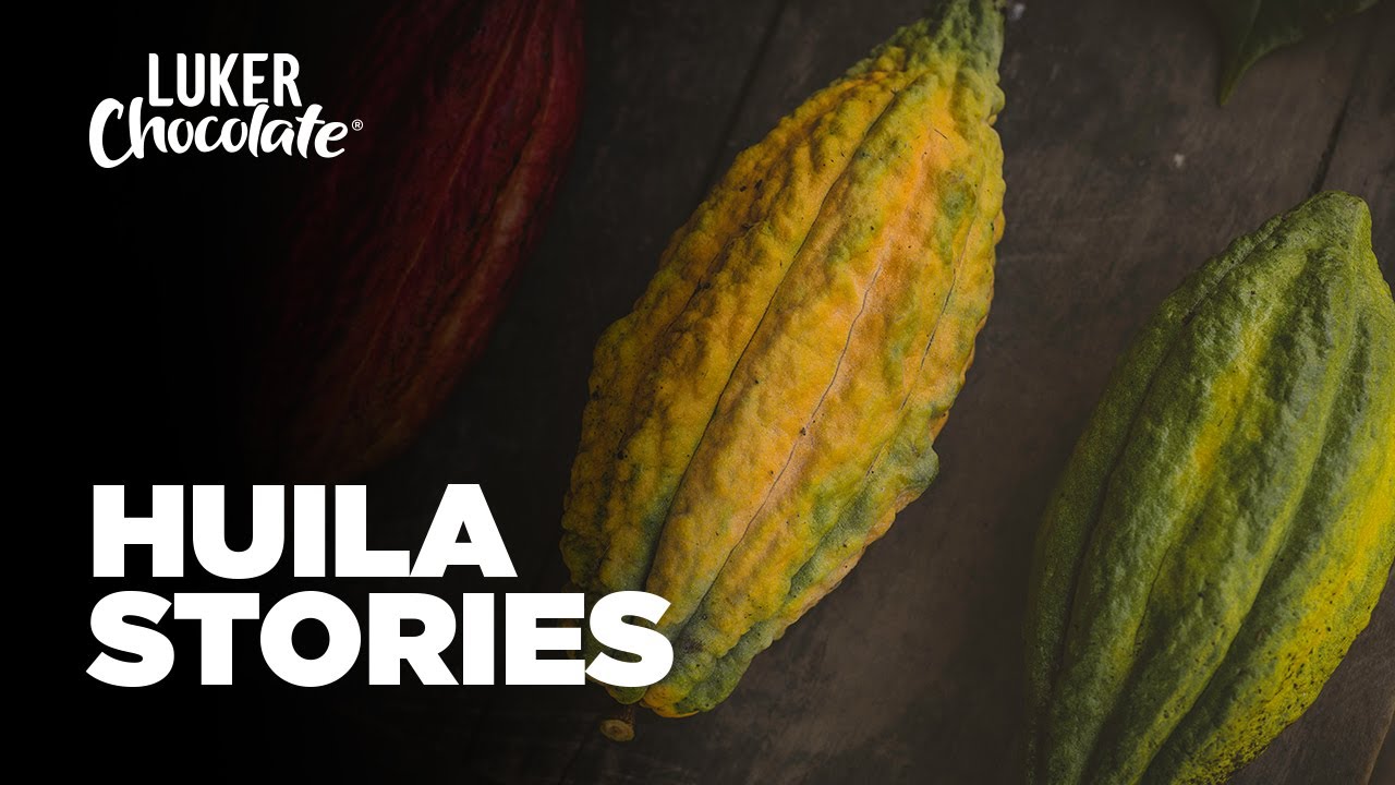 Sustainably Sourced Chocolate: Fino de Aroma Stories Huila